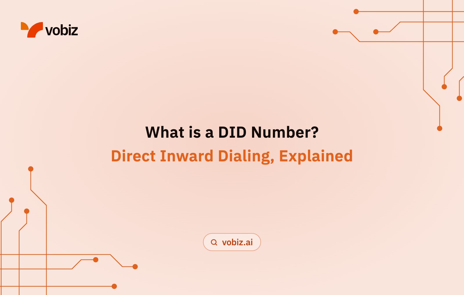 What is a DID number?