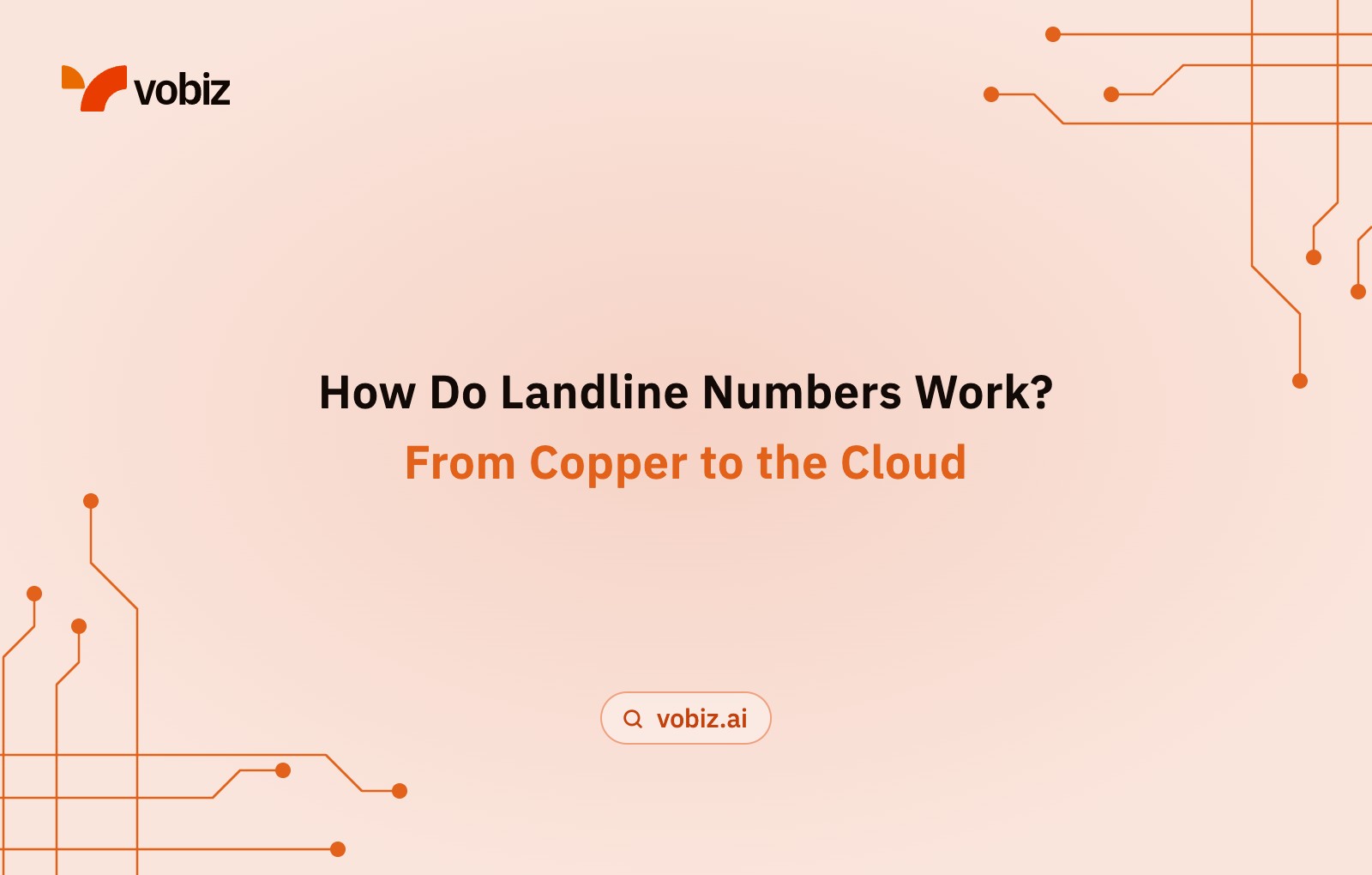 How do landline numbers function?