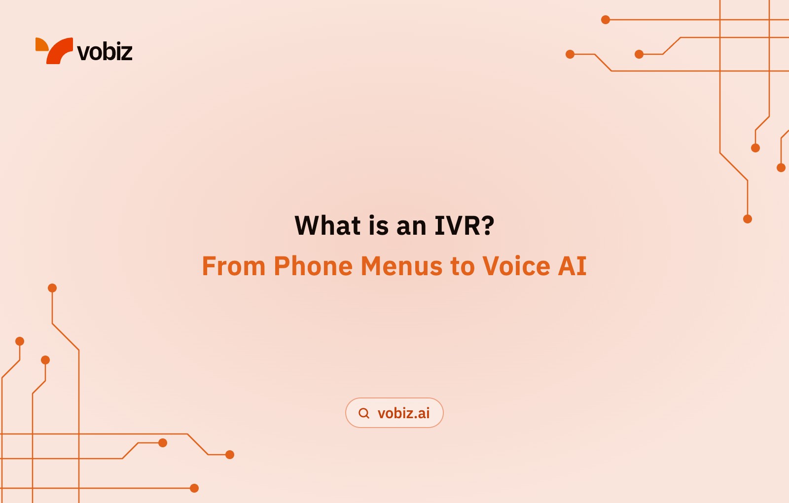 What is an IVR?